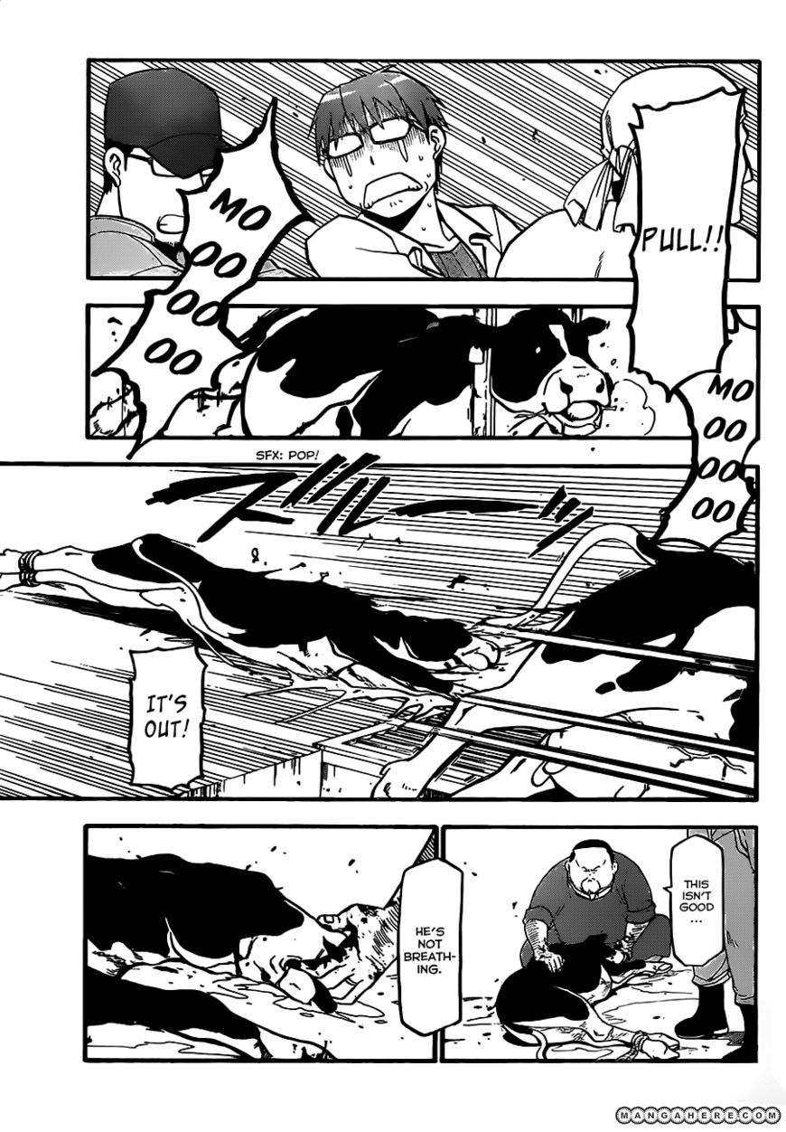 Chapter 17 image 16